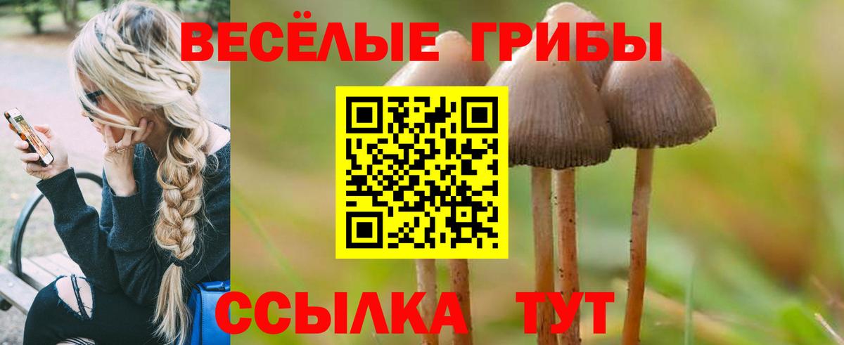 Псилоцибиновые грибы Psilocybine cubensis  Вход с VPN  Воткинск 